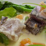 ジューダバレリーノ - ｻﾜﾗ