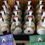 寺町たまり駅 - 