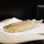 Tempura Wakayama - 