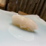 鮨 なんば - シロイカ