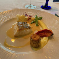 THE KOBECRUISE コンチェルト - 