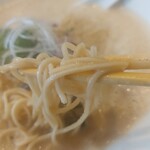 DURA麺TE - 鶏白湯の麺