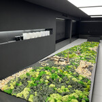 43 Factory Coffee Roaster - 