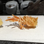 Tempura To Wain Ooshio - 