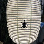 Sakaba Bi-Toru - BEETLE