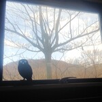 オーベルジュ 漣 - 