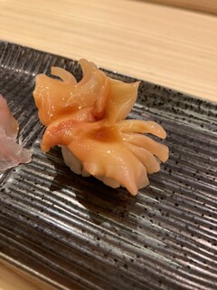 h Sushi Umi No Michi - 握り　赤貝