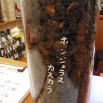 coto - ホンジュラスカスカラ