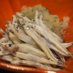 割烹さいお - 氷魚木の芽卸し