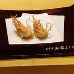 天冨良 麻布よこ田 - 車海老くも足