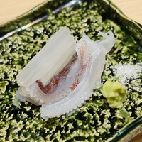 麻布 鮨功 - 青森産の活の槍烏賊。朝〆なので、ラッコの好きなコリコリ食感。甘味はまだ出ていないので、醤油だと負けてしまいます。それで塩と本ワサビのみ。これは、大好き！