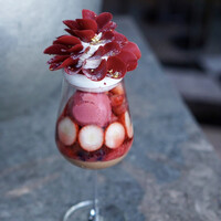 PIGNETO - 