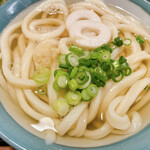 Sanuki Udon Norabo - 