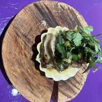 IL TEATRINO DA SALONE - 