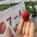 姫路ハートフル観光農園 - 