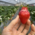 姫路ハートフル観光農園 - 