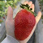 姫路ハートフル観光農園 - 