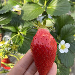 姫路ハートフル観光農園 - 