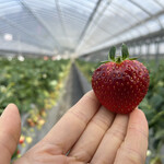 姫路ハートフル観光農園 - 