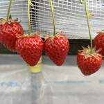 姫路ハートフル観光農園 - 