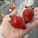 姫路ハートフル観光農園 - 