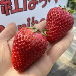 姫路ハートフル観光農園 - 