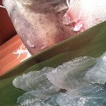 五十六屋 - フグに迫る弾力で、フグよりも旨味があり、そして格段に安い！！それがカワハギ！