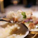 レフェルヴェソンス - 