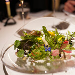 レフェルヴェソンス - 