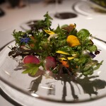 レフェルヴェソンス - 