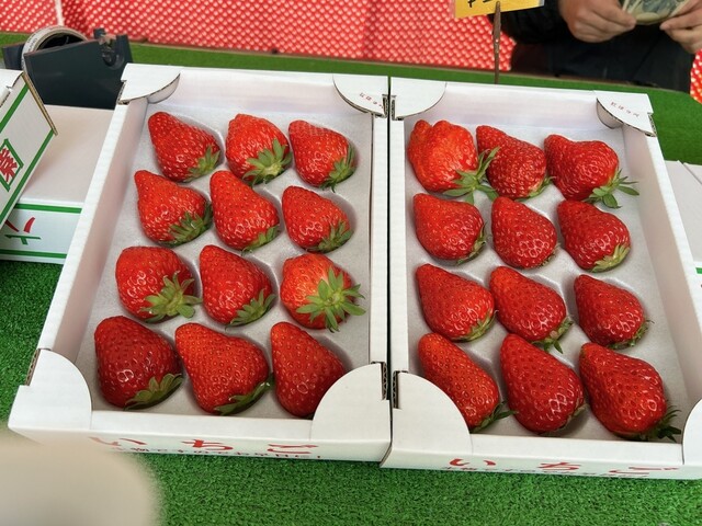 六いちご園 - 上総中川/その他 | 食べログ