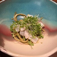 セルサルサーレ - 