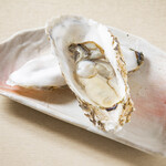 [Limited quantity] Raw oysters with shells