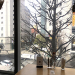 TOTO'S CAFE - 窓からの眺め