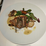 ピアッティ カステリーナ - 