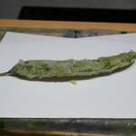 にい留 - 飛騨高山あきしまささげ