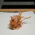 にい留 - 車海老頭