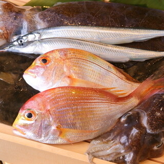 東海地方を中心に、各地の鮮魚を厳選しご提供しております。