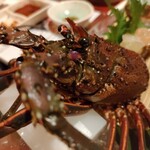 いけす 鶴八 名駅 はなれ - 