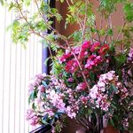 Kaihou - アプローチは、毎月替わる高津区の「原生花店」さんが活ける花々でお迎えいたします。