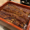 Unagi Dokoro Akatsuki - 特選肉厚鰻一本重