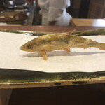 旬彩天 つちや - 