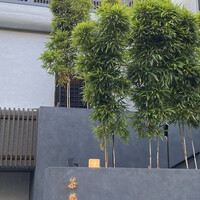 茶禅華 - 