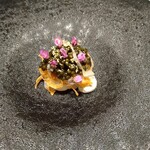 レミニセンス - キャビア