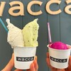 wacca - 