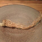 裕の輪 - 九条葱の根