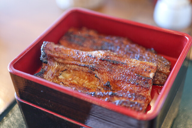 Sumiyaki Unagi Hajime, Hamamatsu, Japan