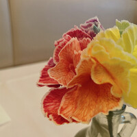 クラシコ・クッチーナ・イタリアーナ - 