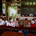 あむ～る - ワンコだけで記念撮影