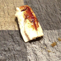 築地青空三代目 大名古屋ビルヂング店 - 
